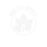 3-1.png